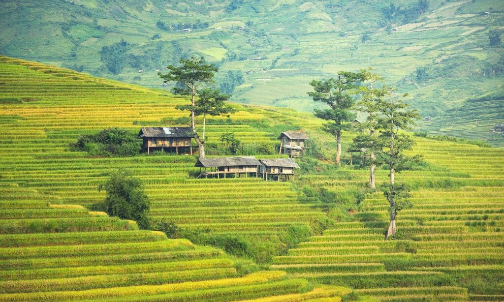 Cambodia